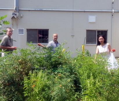 UPM's Garden Grows!