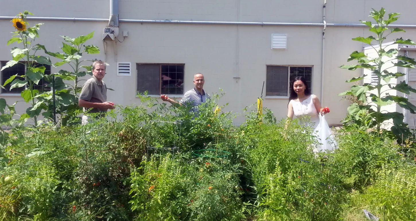 UPM's Garden Grows!